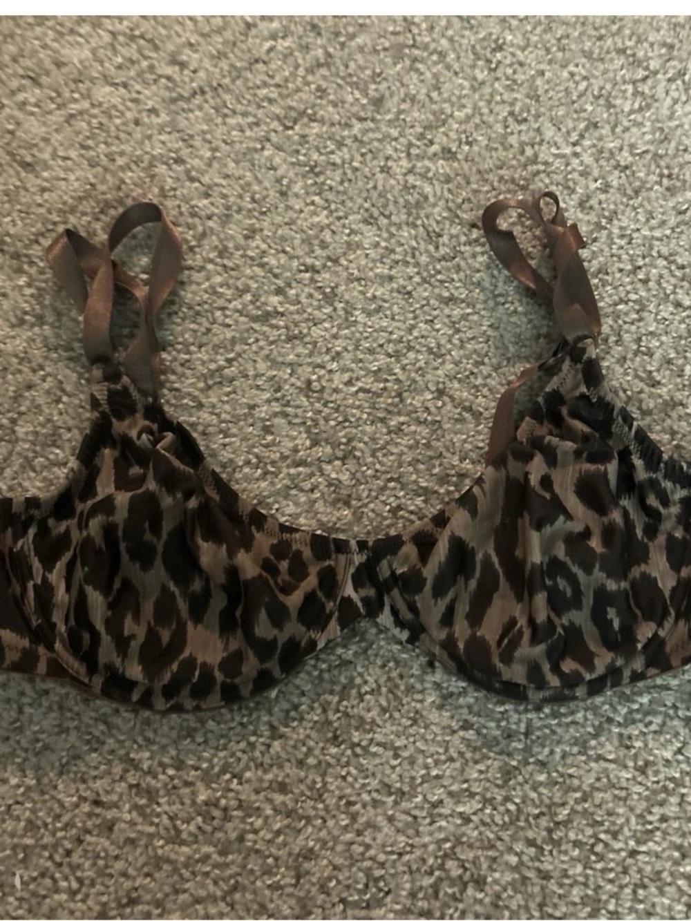 Dolce and Gabbana leopard bra
